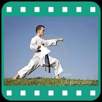 Video Teknik Karate capture d'écran 1