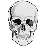Stealth Command icon