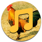 Rooster Sounds آئیکن