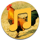 Rooster Sounds icône