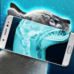 XRay Scanner Cat Joke APK download