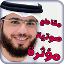 مقاطع إسلامية - وسيم يوسف APK