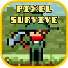 Pixel Survival Adventure ikon