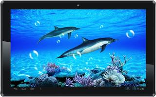 Dolphin Sounds Live Wallpaper Affiche