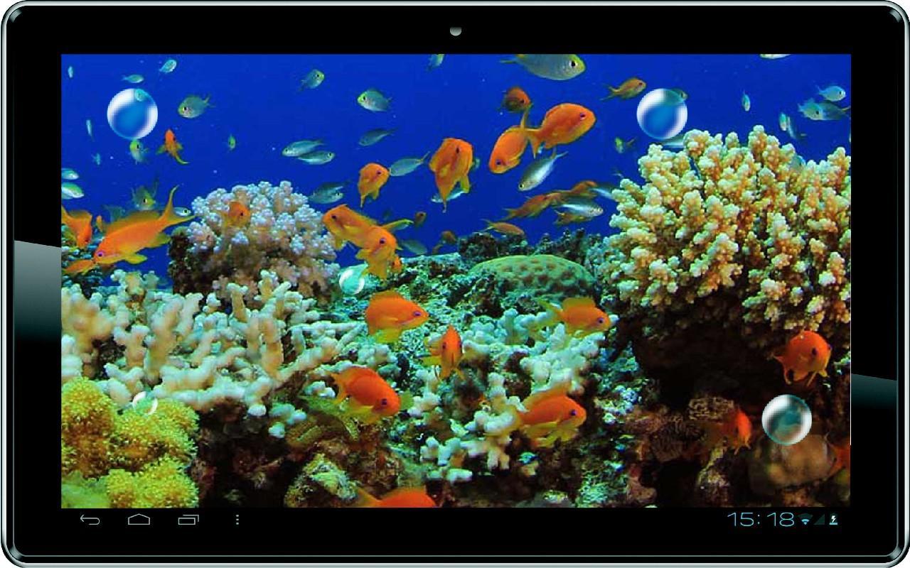 3д живые обои на андроид. 3d аквариум на рабочий стол. Fish Live Wallpaper живые обои на смартфон. Гифки аквариум 3 Дж. Live Fish.