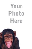 Monkey Photo Frame poster