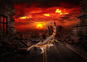 Scorpion Photo Editor Cartaz