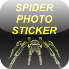 Spider Photo Sticker icône