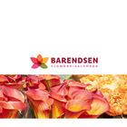 Barendsen Flower Shop ícone
