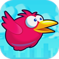 Crazy Birds