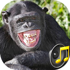 Funny Sounds icon