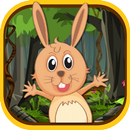 Jungle Rabbit Jump APK
