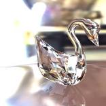 the Crystal Swan & Clock_