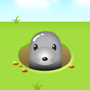 Touch Moles APK