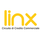 Linx icon