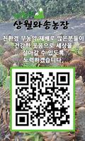 계룡산상월와송농장,친환경와송,유기농와송,자연산와송 imagem de tela 2