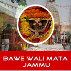 Bawe Wali Mata Jammu-icoon