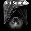 Bat Sounds APK