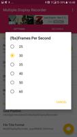 Multiple Display Recorder скриншот 3