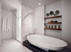 Bathtub Ideas Affiche