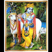 Krishna imagem de tela 1