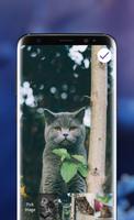 Cats Lock Screen স্ক্রিনশট 2