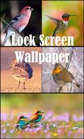 Oiseaux Lock Screen Affiche