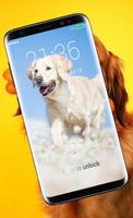 Poster Blocco schermo per cani divertenti HD Wallpaper