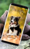 برنامه‌نما Funny Dogs HD Wallpaper Lock Screen عکس از صفحه