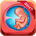 Pregnancy Baby Weekly Tracker