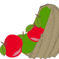 Bazaar