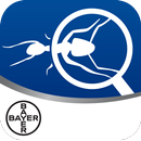 Bayer Maxforce Ant Solutions APK