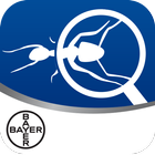 Bayer Maxforce Ant Solutions ícone