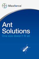 Bayer Maxforce Ant Solutions poster