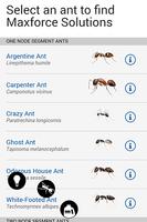 Bayer Maxforce Ant Solutions screenshot 1