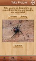 Bug ID ภาพหน้าจอ 1