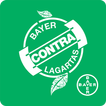 Bayer Contra Lagartas