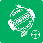 Bayer Contra Lagartas 图标
