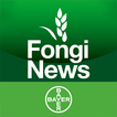 ”Bayer FongiNews