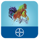 Avi Connect APK