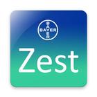 Zest ícone