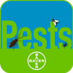 ”PestXpert