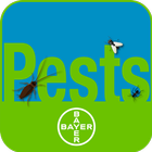 PestXpert icône