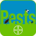 PestXpert 圖標