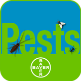PestXpert icône