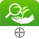 Bayer Crop RSA APK