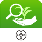 Bayer Crop RSA 아이콘