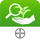 Bayer Crop S.A. أيقونة