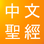 Icona Lightweight Chinese Bible