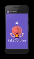 Zeka Soruları 海報